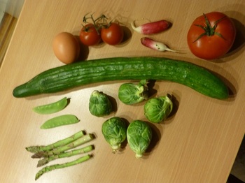 20121015に買った野菜の比較.jpg